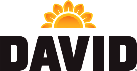 David logo